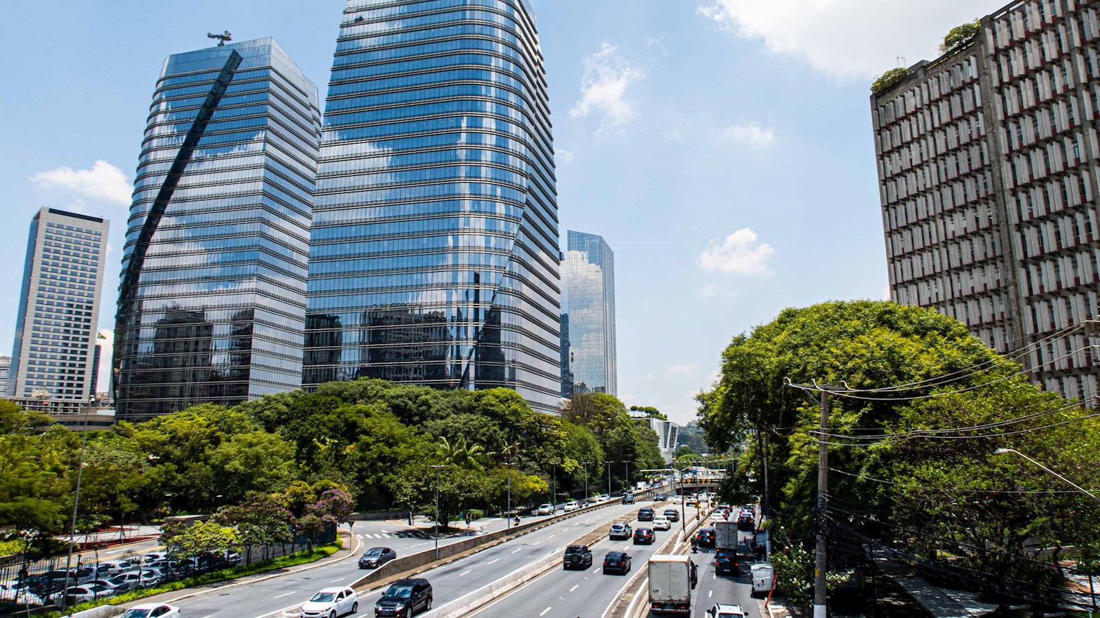 A road in Brazil lined with trees and large skyscrapers 